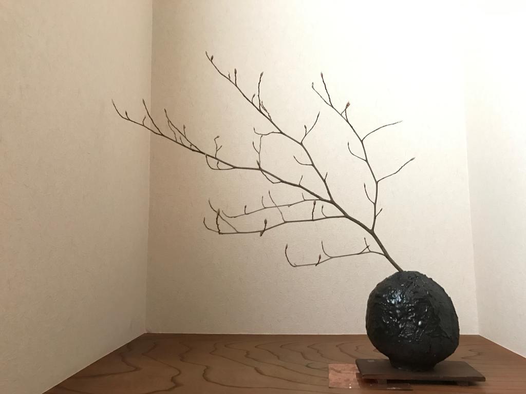Отель Sayama Aesthetics School Osakasayama Экстерьер фото